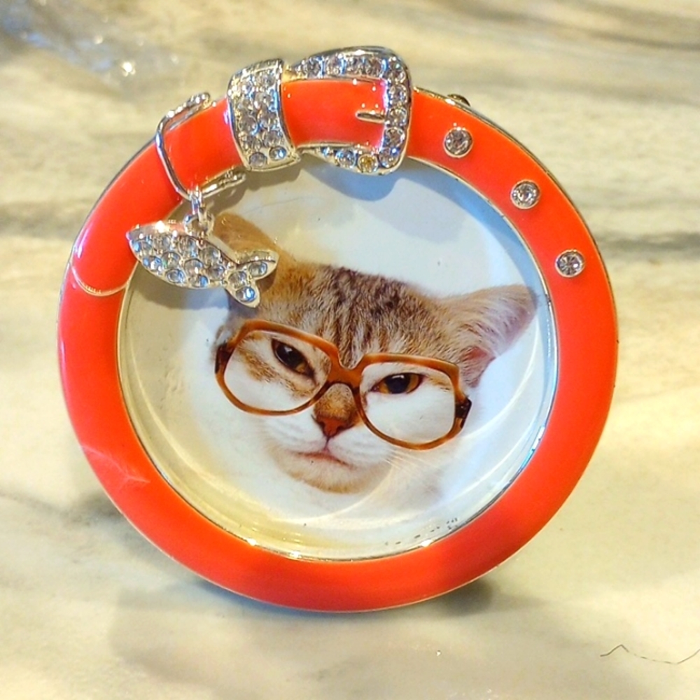 Adorable 😺 CAT Print with Frame